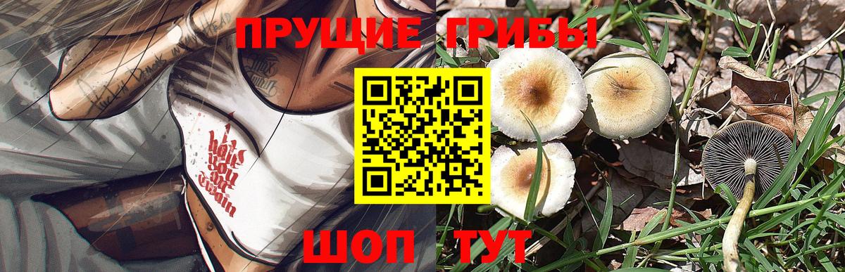 Псилоцибиновые грибы ЛСД Усть-Илимск